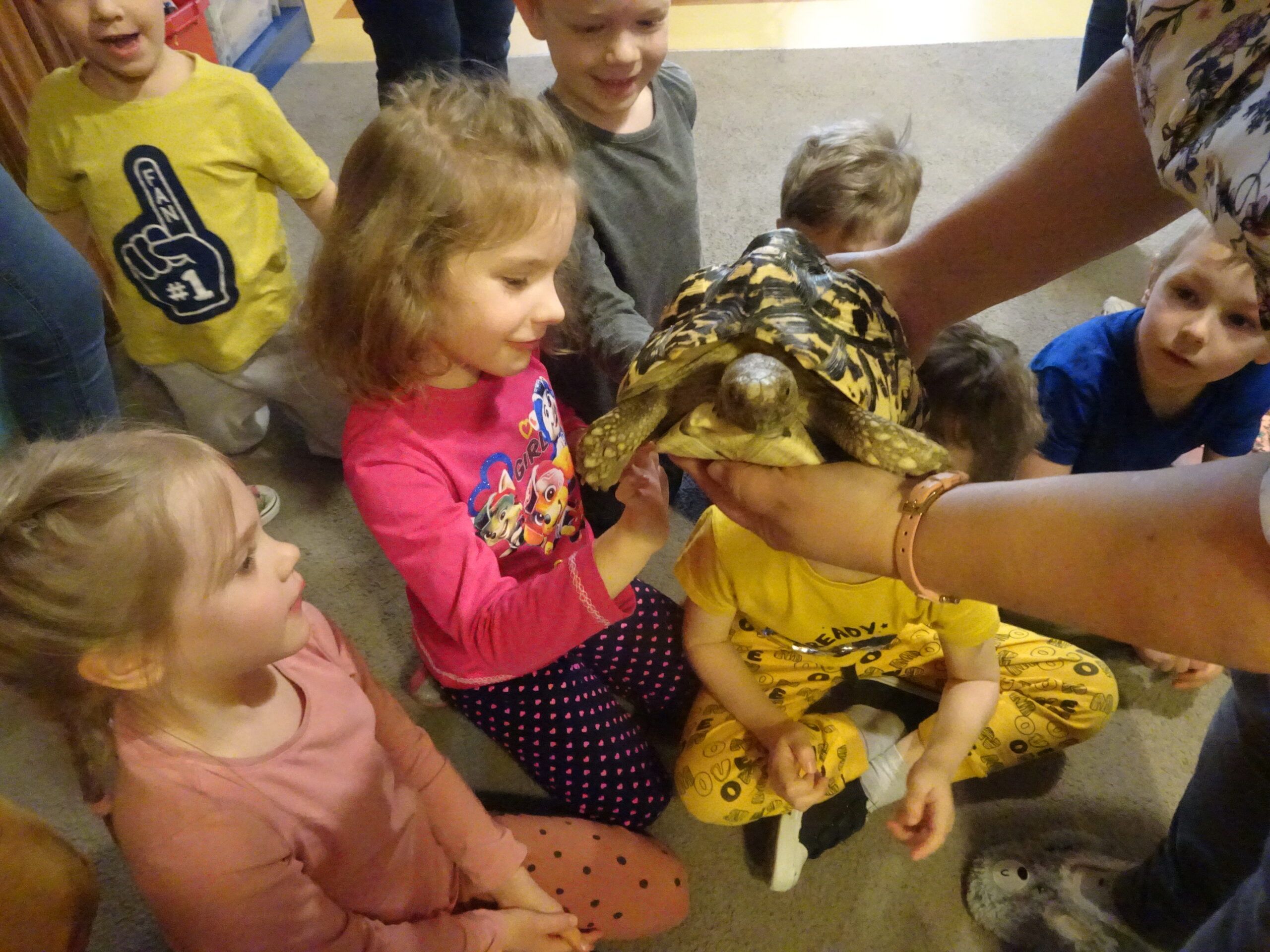 Dzieci poznają ślimaki i żółwie afrykańskie – 31.03